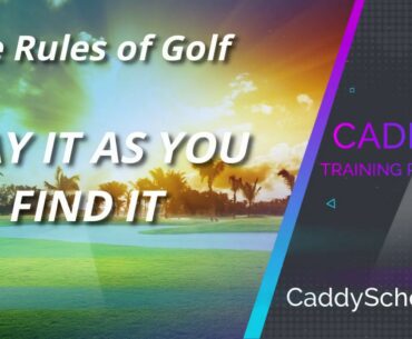 PLAY IT AS YOU FIND IT