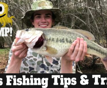Largemouth Bass Fishing Tips & Techniques: Early Spring Bass Fishing [Hog Alert!]