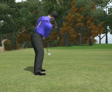Tiger Woods 08  - Aichi Country Club Japan