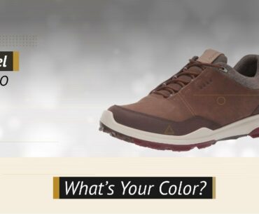 ECCO Men's Biom Hybrid 3 Gore-Tex Golf Shoe | Golf Shoes 2019 Collection