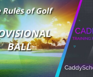 PROVISIONAL BALL