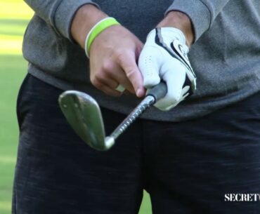 Ryan Palmer: Grip