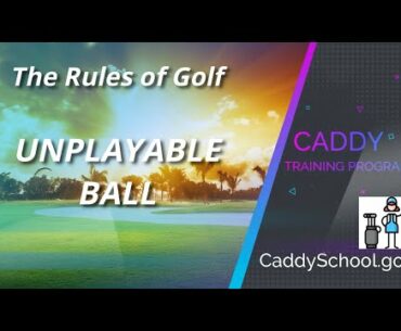 UNPLAYABLE LIE