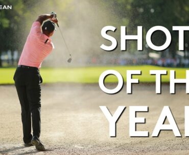 Best Golf Shots of the Year (so far) - 2019