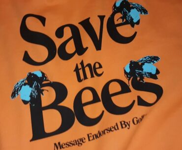 Golf Wang Save The Bees Hoodie Orange