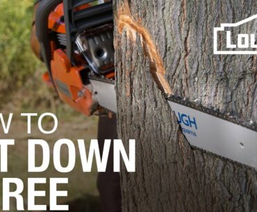 How To Cut Down A Tree