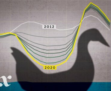 The 'duck curve' is solar energy's greatest challenge