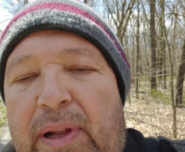 Walk in the Woods