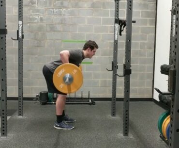 Double Arm Row - Barbell