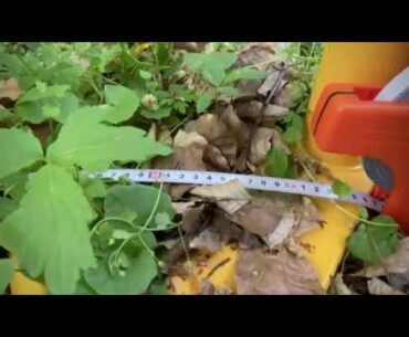 COVID 19_mm_Quarantine Vlog_Day 31_Lagoda Consecutive Putting Contest_8m/26.24ft_Round 2 (Part 3)