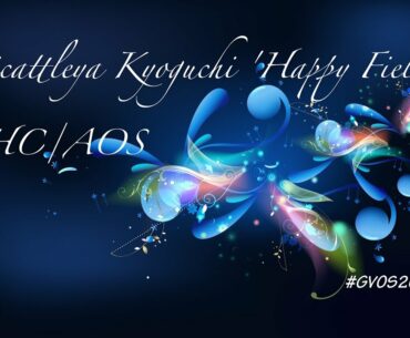 #GVOS2020 - Epicattleya Kyoguchi 'Happy Field' HHC/AOS