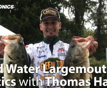 Webinar: Cold Water Largemouth Tactics