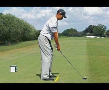Golf Training Drill For Consistent Posture Like Tiger Woods-  W Turns