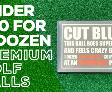 UNDER $20 FOR A DOZEN PREMIUM GOLF BALLS