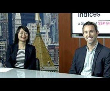 Indexing to Access Put Write and Buy Write Strategies