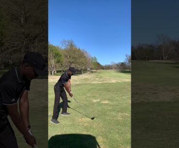 3 Wood Stinger!