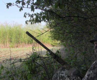 Illinois Turkey Hunting