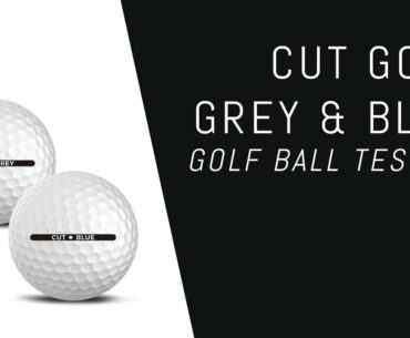 $20/Dozen Premium Golf Ball Testing | Cut Grey & Blue 2019 + Blue 2018 Comparison