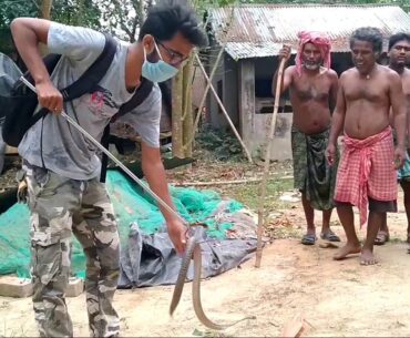 #Bethuadahari Billwgram village Cobra Rescue