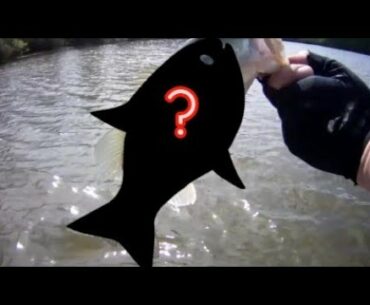 FISHING TACTICS and MORE(HELPFUL)