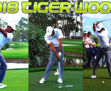 2018 TIGER WOODS HONDA CLASSIC GOLF SWING FOOTAGE 1080p HD