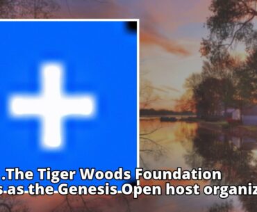 Golf: Woods set for Genesis Open2019: PDP convention raises fresh concerns for opposition partyIGBO