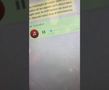 ÁUDIO MOTA JR MORTO **NOVO**