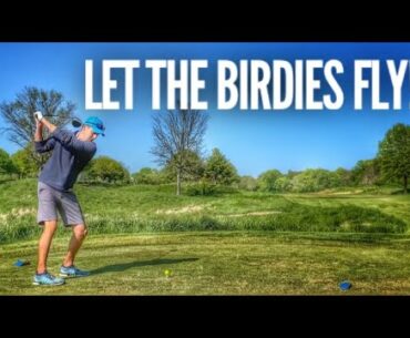 How Many Birdies Can I Make?
