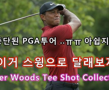 중단된 골프대회 타이거 스윙보고 달래봅니다~!!(타이거 정면스윙모음)-Tiger Woods golf swing-