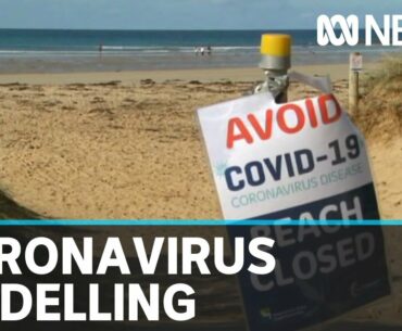 Experts have calculated Australia's COVID-19 transmission rate, and the news is good | ABC News