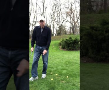 Backyard Golf Exhibition 8 iron