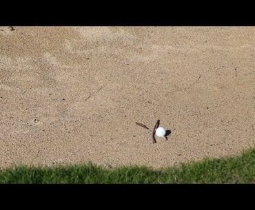Genesis Golf Link Cup Rule of the Week: Loose Impediments in Bunkers