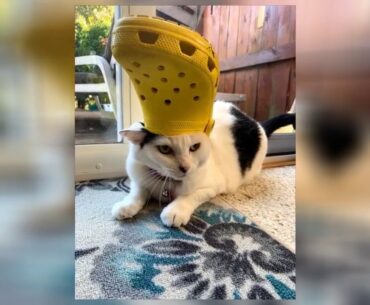Review Crocs Classic Clog|Comfortable Slip on Casual Water Shoe