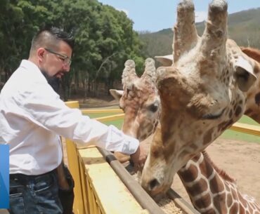 Mexico Wildlife Park Struggles to Feed Animals Amid Coronavirus Pandemic