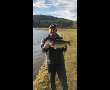 Spring Bass Fishing Tactics
