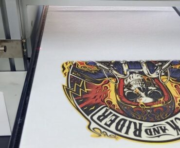 SinoColor DTG printer TP-300C, for light and dark T-shirts