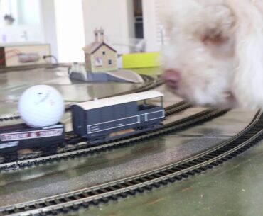 Poppa Pipa Railways   Golf Ball Express Part 2