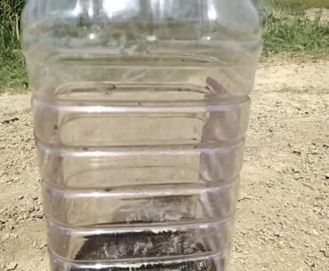 Cobra rescue by rakesh sen at green home regency at kota