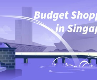 Budget Shopping in Singapore