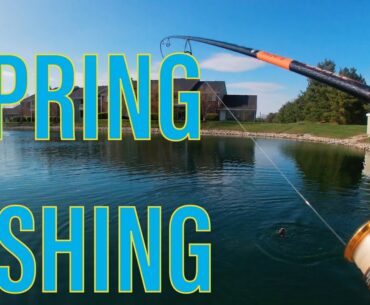 This Pond is AMAZING! |More Spring Fishing|