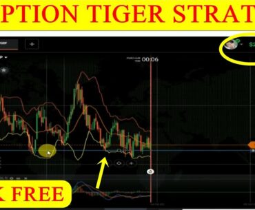 IQ Option | IQ Option Tiger Winning Strategy | Best Winning Strategy IQ Option | WaRiis Ali