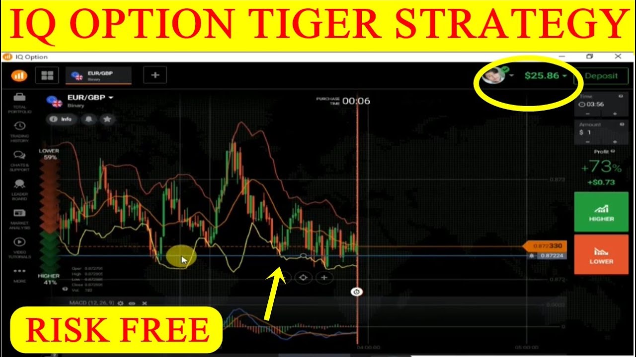 IQ Option | IQ Option Tiger Winning Strategy | Best Winning Strategy IQ Option | WaRiis Ali IQ Option | IQ Option Tiger Winning Strategy | Best Winning Strategy IQ Option | WaRiis Ali