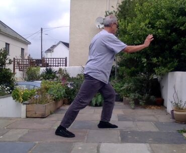 Tai chi chuan. Coordinating shift of stance with technique.