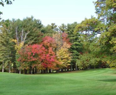Welcome to Pine Grove Country Club - Iron Mountain, Michigan