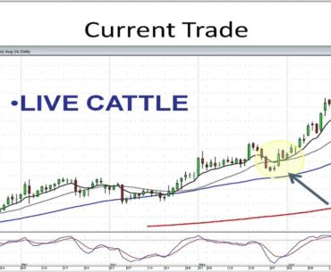Best Gap Trading Strategies   Stephen Bigalow
