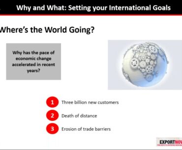 From Vertical to Horizontal: New Market Entry Strategies for Companies