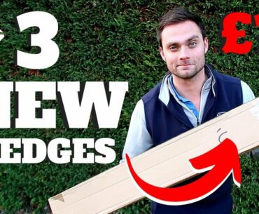 I BOUGHT THESE THREE QUALITY WEDGES FOR HOW MUCH!?