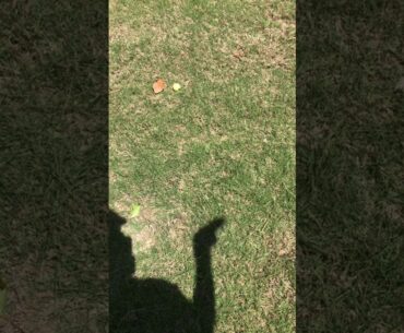 Golf lever arm