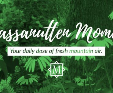 Massanutten Moment: Your Daily Dose of Fresh Mountain Golfing