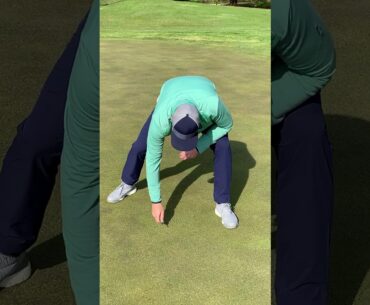 2020 Do your part, please fix your ball mark